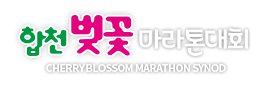 합천벚꽃마라톤대회 바로가기